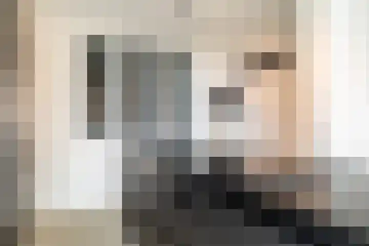 Baronielaan 22 C5 Breda thumbnail 12