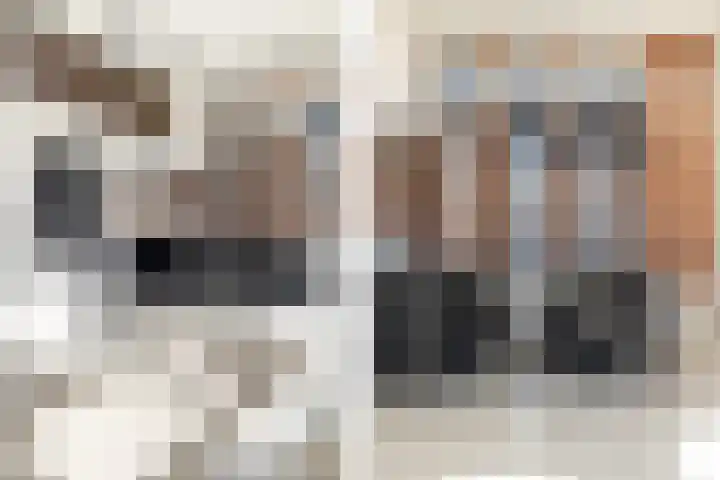 Baronielaan 22 C5 Breda thumbnail 14