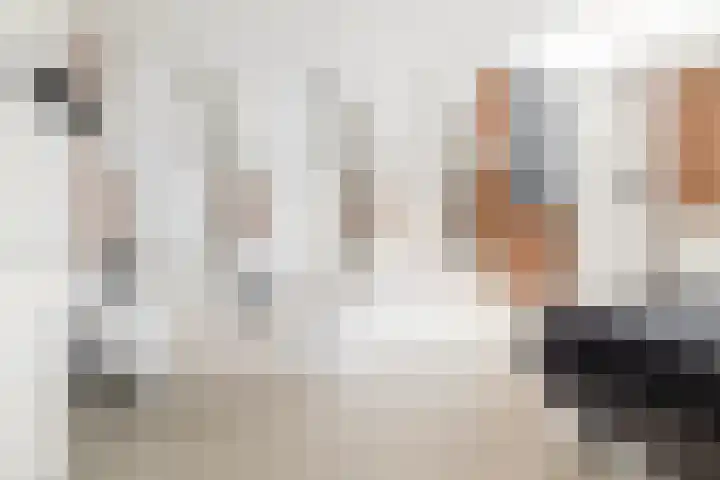 Baronielaan 22 C5 Breda thumbnail 16