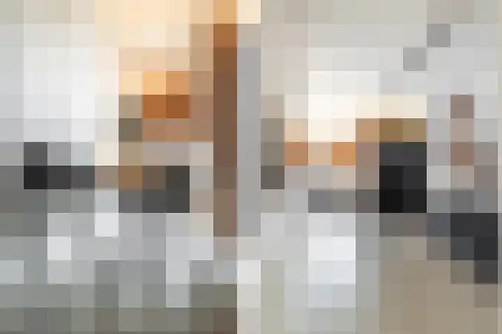 Baronielaan 22 C5 Breda thumbnail 23
