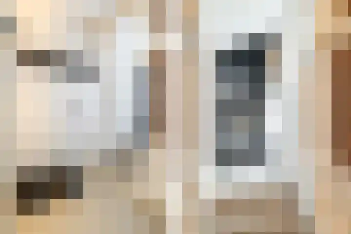 Baronielaan 22 C5 Breda thumbnail 27