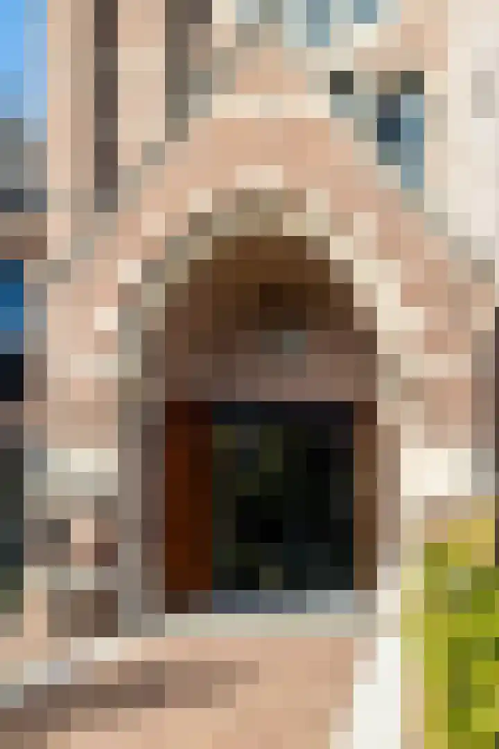 Baronielaan 22 C5 Breda thumbnail 4