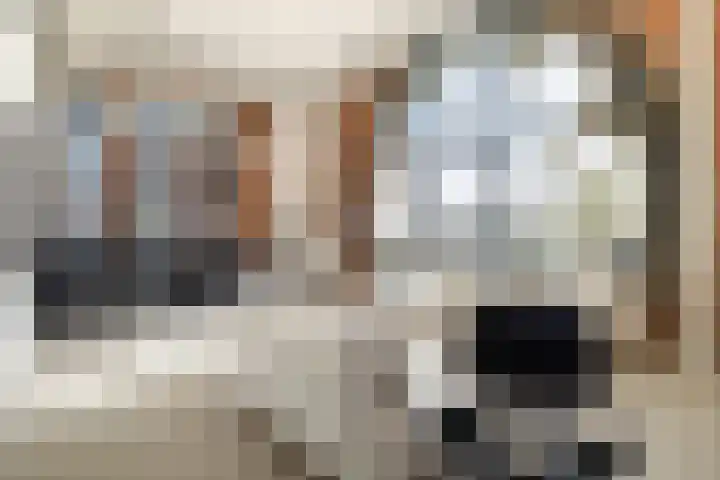 Baronielaan 22 C5 Breda thumbnail 8