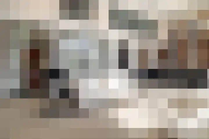 Baronielaan 22 C5 Breda thumbnail 9