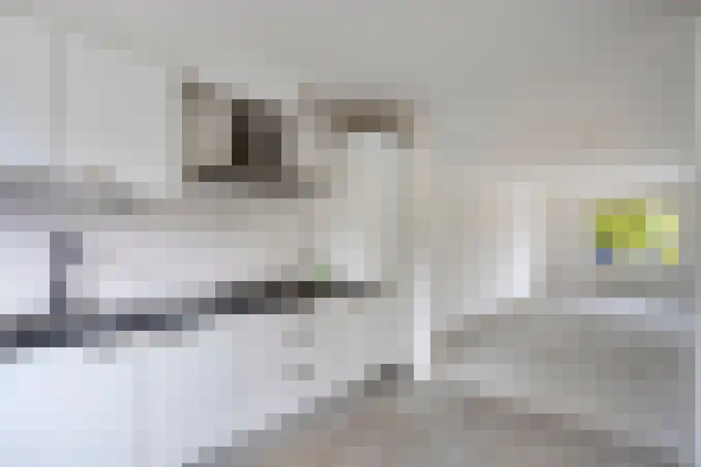 Baronielaan 23 Emmeloord thumbnail 11
