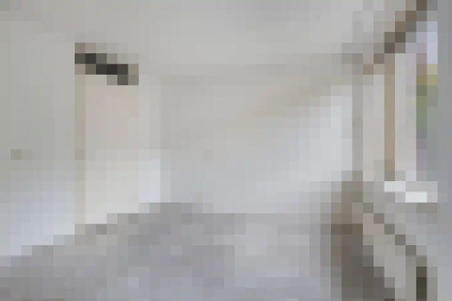 Baronielaan 23 Emmeloord thumbnail 13