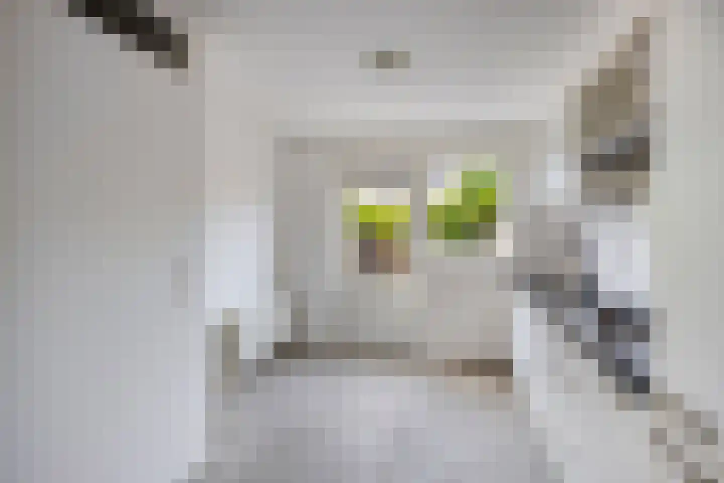 Baronielaan 23 Emmeloord thumbnail 9