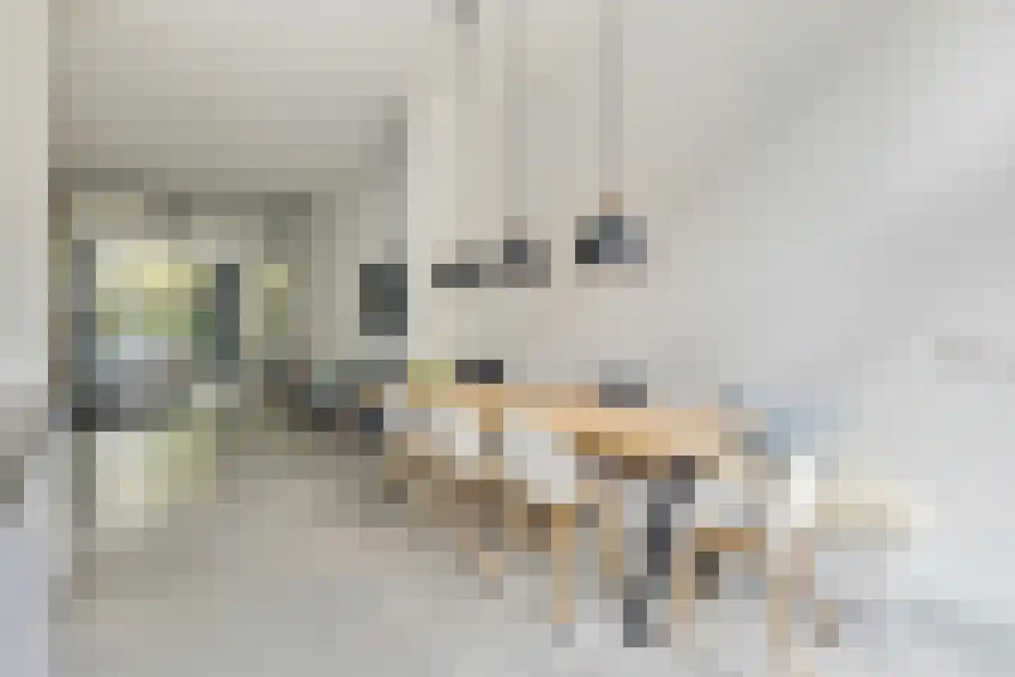 Baronielaan 245 Breda thumbnail 24