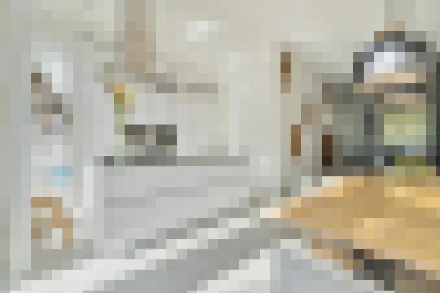 Baronielaan 245 Breda thumbnail 27