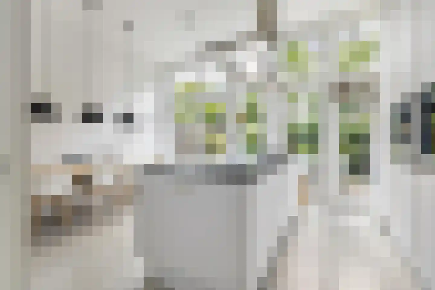 Baronielaan 245 Breda thumbnail 30