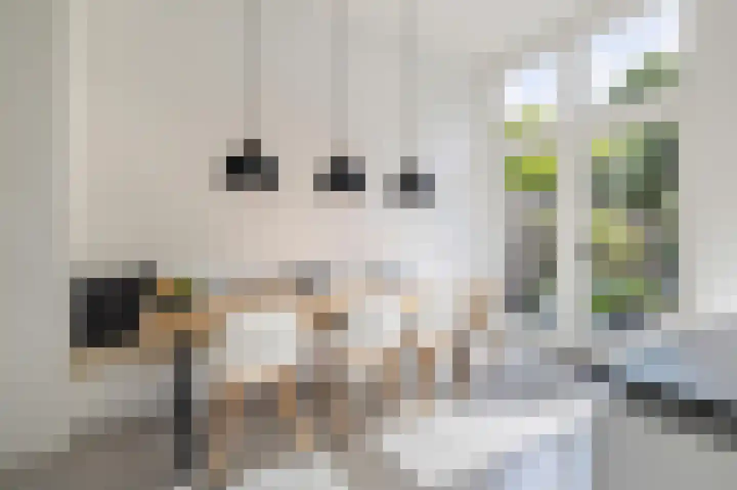 Baronielaan 245 Breda thumbnail 32