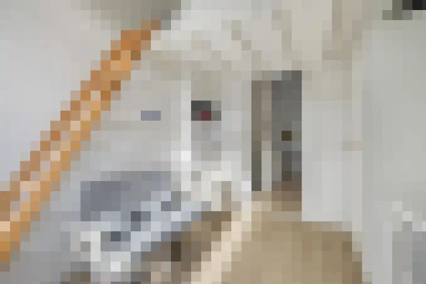 Baronielaan 245 Breda thumbnail 37