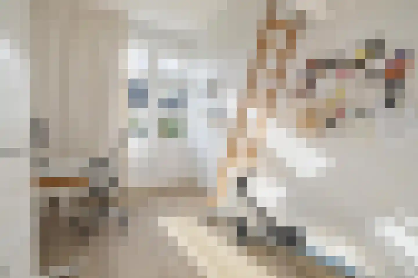 Baronielaan 245 Breda thumbnail 40