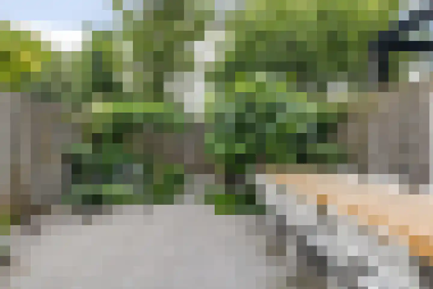 Baronielaan 245 Breda thumbnail 73