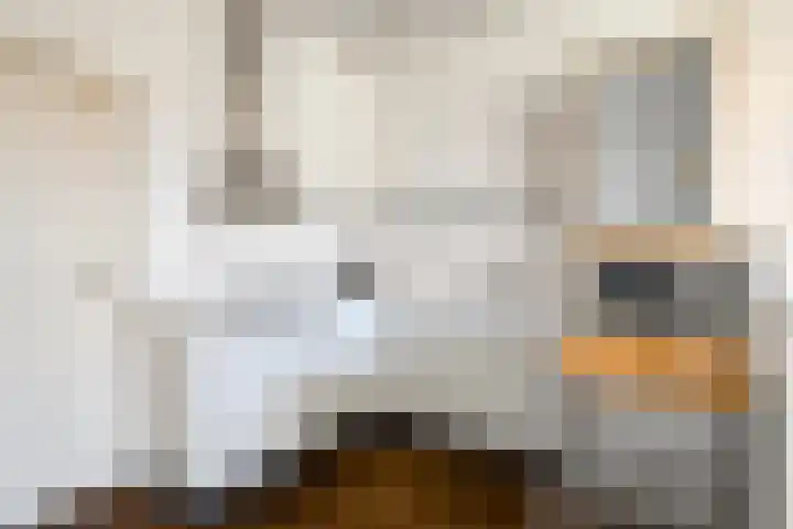 Baronielaan 274 A Breda thumbnail 19