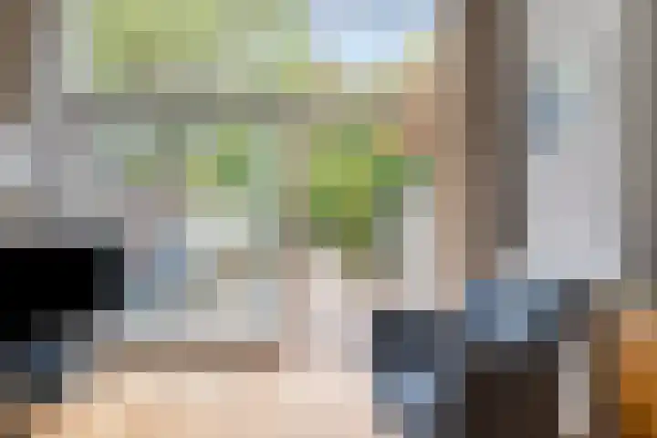 Baronielaan 274 Breda thumbnail 13
