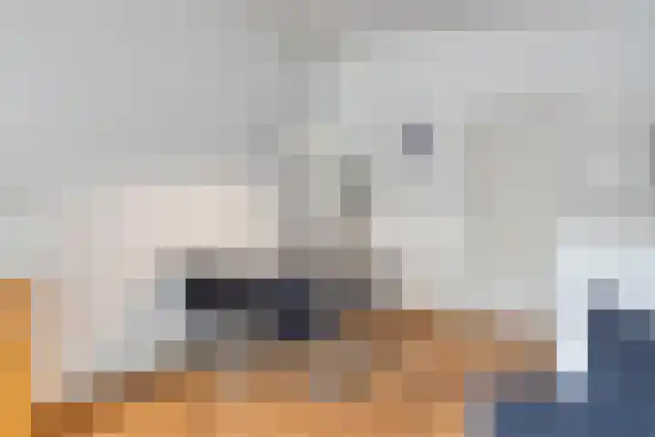 Baronielaan 274 Breda thumbnail 16