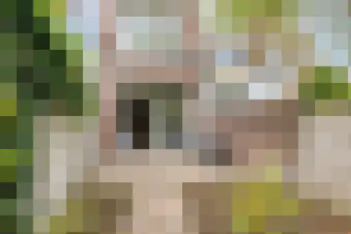 Baronielaan 274 Breda thumbnail 25