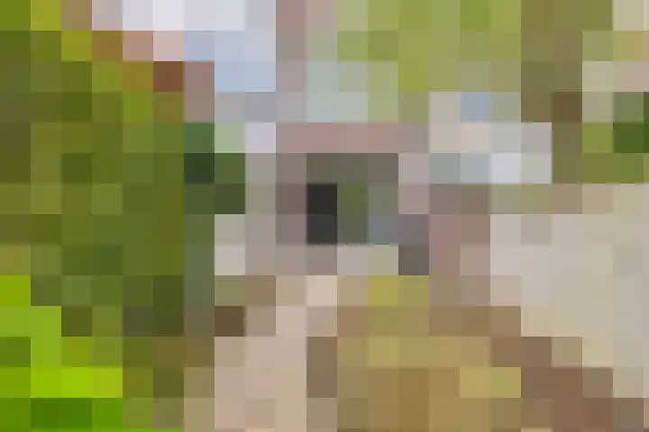 Baronielaan 274 Breda thumbnail 26