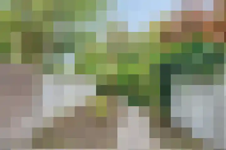 Baronielaan 274 Breda thumbnail 27
