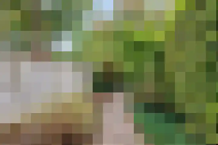Baronielaan 274 Breda thumbnail 28