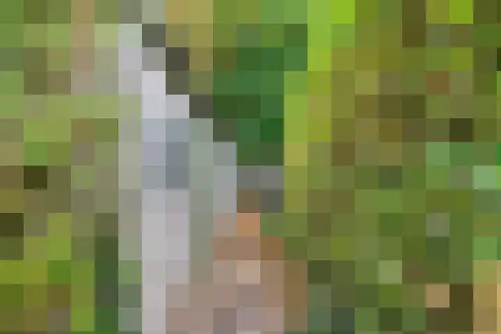 Baronielaan 274 Breda thumbnail 29