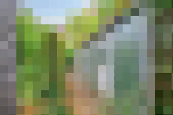 Baronielaan 274 Breda thumbnail 30