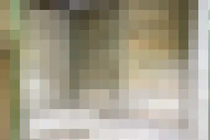Baronielaan 274 Breda thumbnail 31