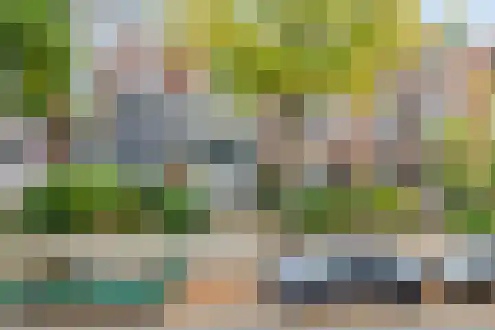 Baronielaan 274 Breda thumbnail 35