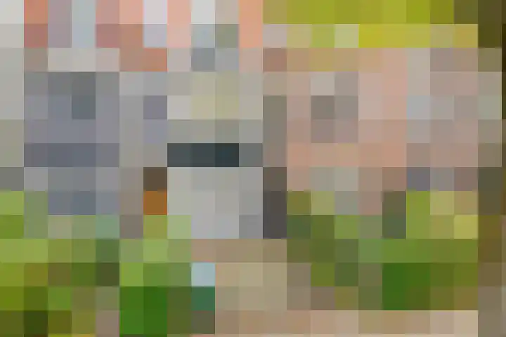 Baronielaan 274 Breda thumbnail 36