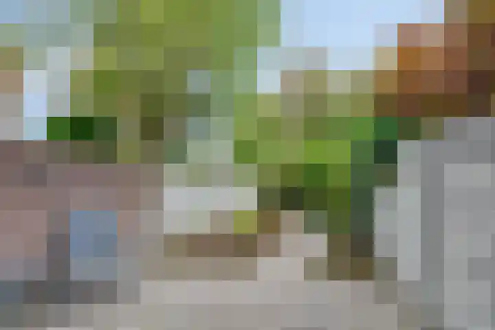 Baronielaan 274 Breda thumbnail 5