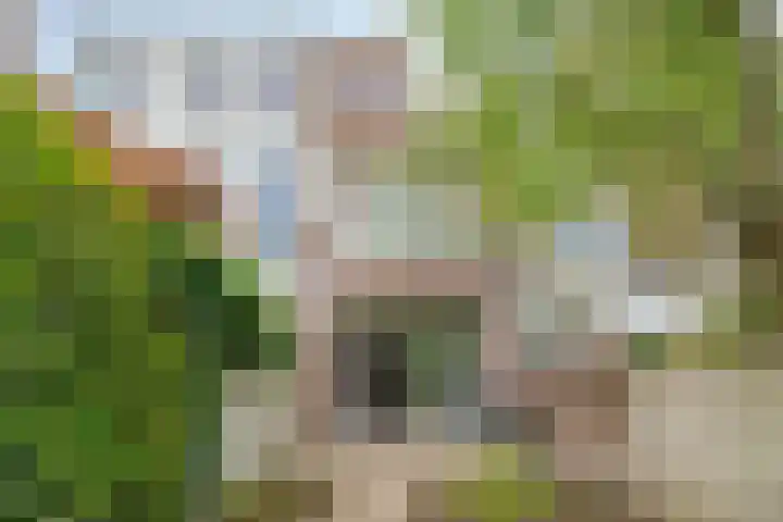 Baronielaan 274 Breda thumbnail 6