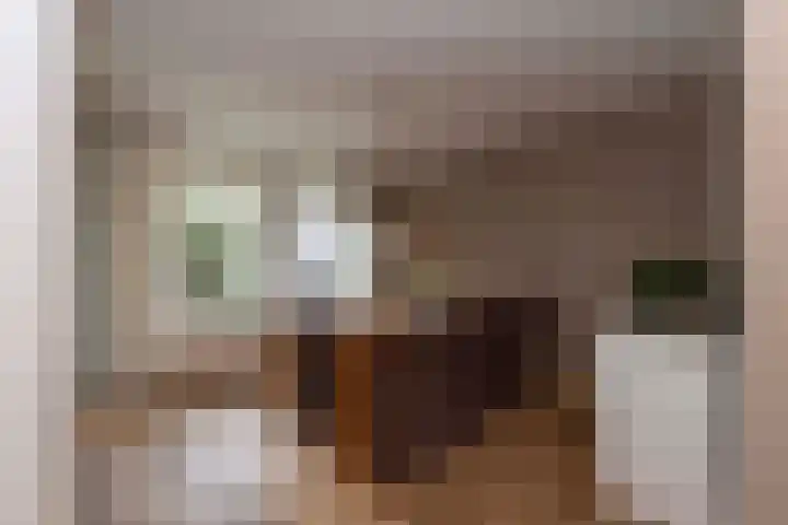 Baronielaan 31 Goirle thumbnail 10