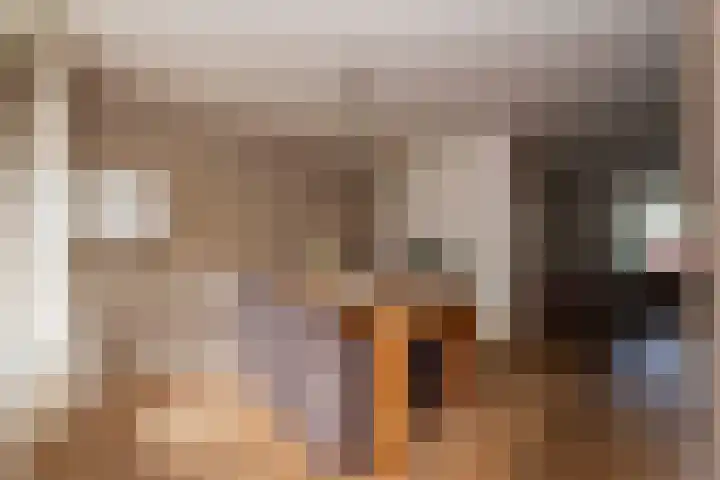 Baronielaan 31 Goirle thumbnail 11