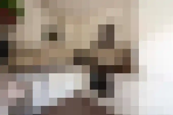 Baronielaan 31 Goirle thumbnail 13