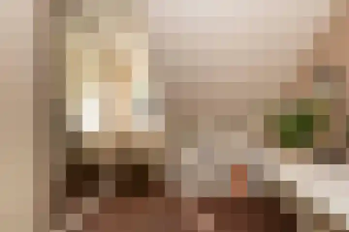 Baronielaan 31 Goirle thumbnail 16