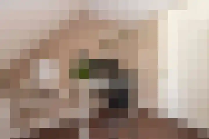 Baronielaan 31 Goirle thumbnail 17