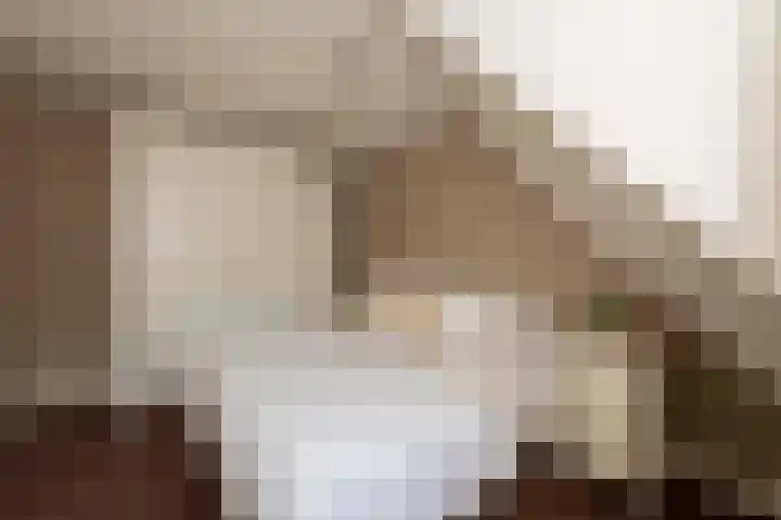 Baronielaan 31 Goirle thumbnail 20