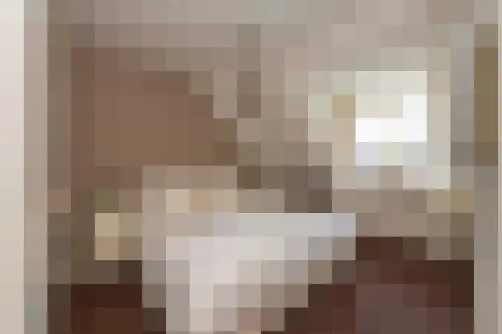 Baronielaan 31 Goirle thumbnail 21