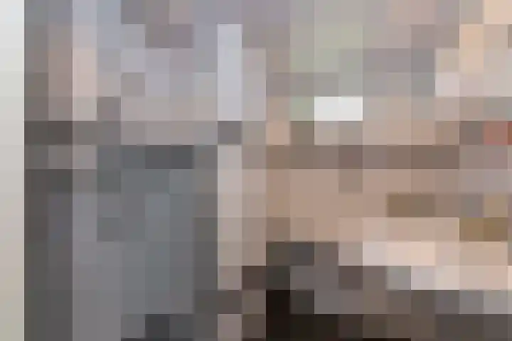 Baronielaan 31 Goirle thumbnail 22