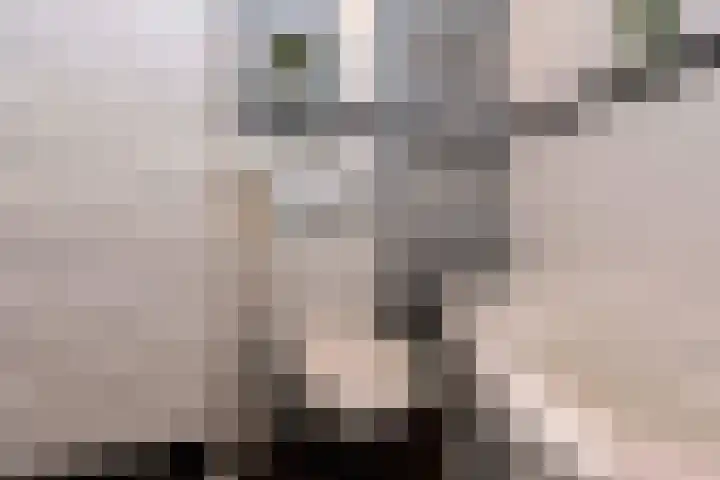 Baronielaan 31 Goirle thumbnail 23