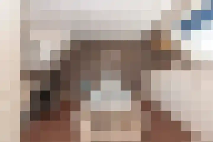 Baronielaan 31 Goirle thumbnail 27
