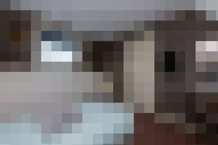 Baronielaan 31 Goirle thumbnail 28