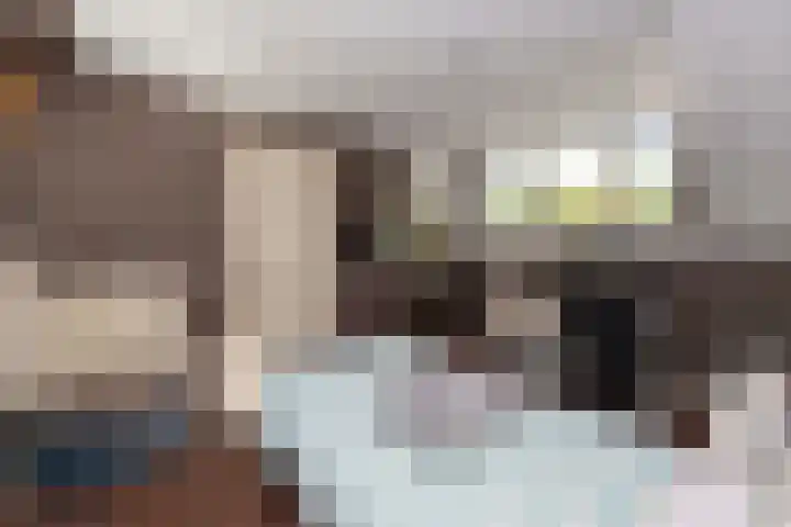 Baronielaan 31 Goirle thumbnail 29