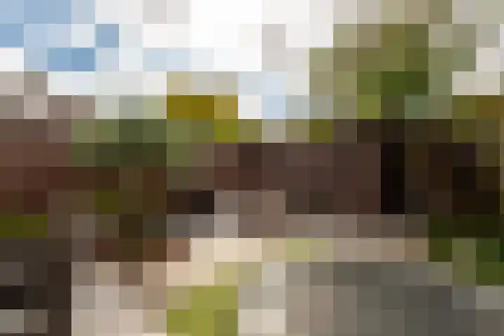 Baronielaan 31 Goirle thumbnail 30