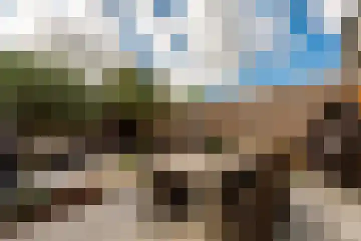 Baronielaan 31 Goirle thumbnail 31