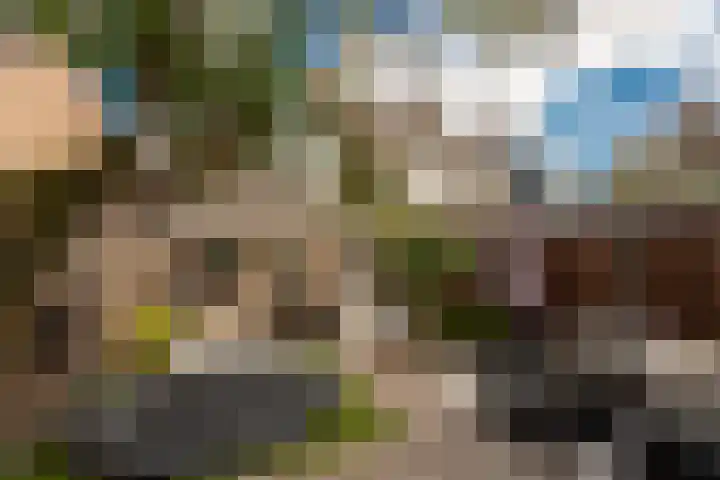 Baronielaan 31 Goirle thumbnail 32