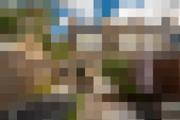 Baronielaan 31 Goirle thumbnail 33