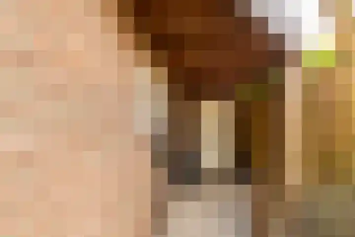Baronielaan 31 Goirle thumbnail 34