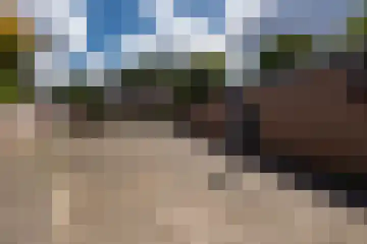 Baronielaan 31 Goirle thumbnail 35